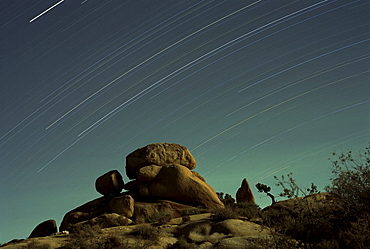 Time exposure at night, Joshua Tree National Park, California, United States of America (U.S.A.), North America