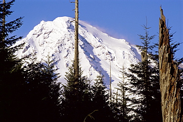 Mount Rainier, Washington State, United States of America (U.S.A.), North America