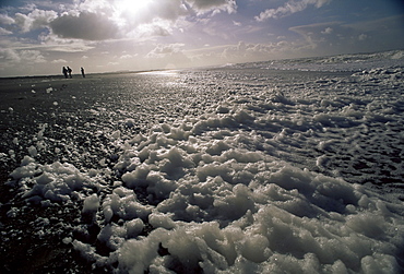 Foam off the Pacific Ocean on coast near Westport, Washington State, United States of America (U.S.A.), North America