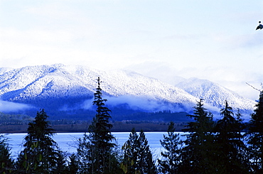 Lake Quinault, Olympic National Park, UNESCO World Heritage Site, Washington State, United States of America (U.S.A.), North America