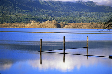 Lake Quinault, Olympic National Park, UNESCO World Heritage Site, Washington State, United States of America (U.S.A.), North America