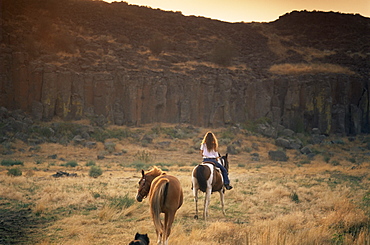 Woman riding horse, Odessa, Eastern Washington state, United States of America, North America