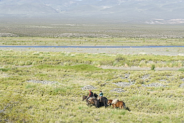 Argentine cowboys in the pampas, near Malargue, Argentina, South America