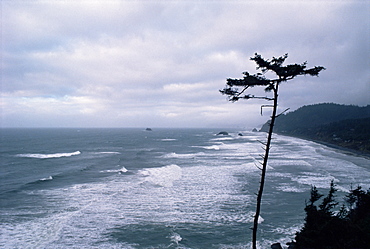 Waves crashing into rocks on the Pacific coast, Oregon, United States of America (U.S.A.), North America