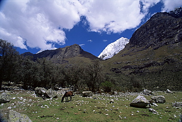 Mountain range outside city of Huaraz, the tallest peaks in Peru, Cordillera Blanca, Andes, Peru, South America