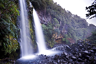 Dawson Falls, Egmont National Park, Taranaki, North Island, New Zealand, Pacific