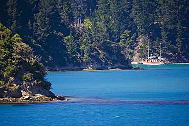 Boat at a private pier, Marlborough Sounds, South Island, New Zealand, Pacific