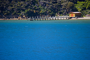 Boat shed and jetty, Marlborough Sounds, South Island, New Zealand, Pacific