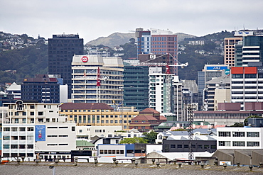 Wellington city viewed from the Interislander ferry, Wellington, North Island, New Zealand, Pacific