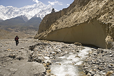 Trekker on the Annapurna circuit trek, the high peak in the distance is one of the Nilgiris, part of The Grand Barrier, Jomsom, Himalayas, Nepal, Asia