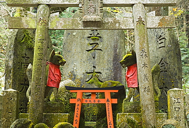 Fushimi Inari-taisha Shrine, Kyoto, Kansai (Western Province), Honshu, Japan, Asia