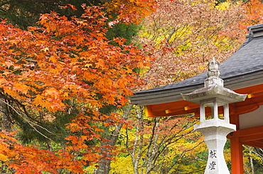 Eireiden Temple, Koya-san, Kansai (Western Province), Honshu, Japan, Asia