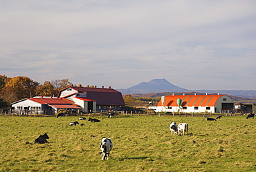 Farm, Hokkaido, Japan, Asia