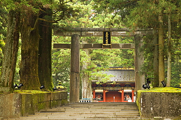 Stone Torii, Tosho-gu Shrine, Nikko, Central Honshu (Chubu), Japan, Asia