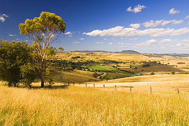 Farmland, Buchan, Victoria, Australia, Pacific