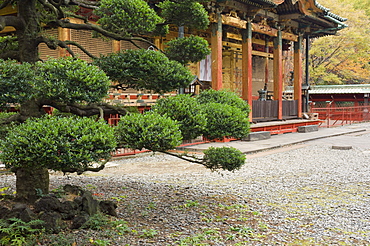 Ueno Toshogu Shrine, Tokyo, Central Honshu (Chubu), Japan, Asia