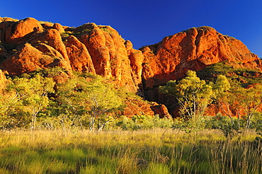 Bungle Bungle, Purnululu National Park, UNESCO World Heritage Site, Kimberley, Western Australia, Australia, Pacific