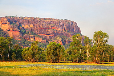 Nourlangie Rock and Anbangbang Billabong, Kakadu National Park, UNESCO World Heritage Site, Northern Territory, Australia, Pacific