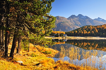 Laj da Staz, St. Moritz, Switzerland, Europe