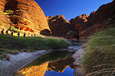 Walkers at The Domes, Bungle Bungle, Purnululu National Park, UNESCO World Heritage Site, Kimberley, Western Australia, Australia, Pacific