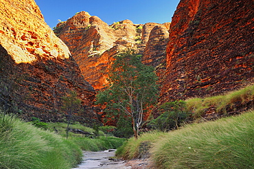 The Domes, Bungle Bungle, Purnululu National Park, UNESCO World Heritage Site, Kimberley, Western Australia, Australia, Pacific