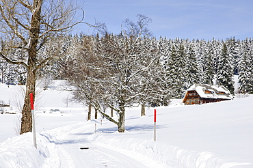 The Black Forest in winter, near Schoenwald, Baden-Wurttemberg, Germany, Europe