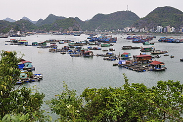 Floating village in Cat Ba Harbour, Cat Ba Island, Vietnam, Indochina, Southeast Asia, Asia