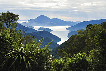 Tennyson Inlet, Marlborough Sounds, Marlborough, South Island, New Zealand, Pacific