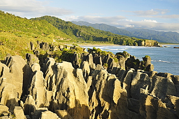 Pancake Rocks, Paparoa National Park, Punakaiki, West Coast, South Island, New Zealand, Pacific