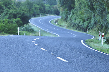 Haast Highway and rainforest, West Coast, South Island, New Zealand, Pacific