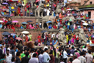 Sa-Paru Gaijatra Festival, Taumadhi Square, Bhaktapur, UNESCO World Heritage Site, Bagmati, Central Region, Nepal, Asia