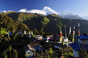 Annapurna South on the left and Hiunchuli on right, seen from Tadapani Village, Annapurna Conservation Area, Dhawalagiri (Dhaulagiri), Western Region (Pashchimanchal), Nepal, Asia