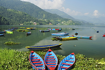 Phewa Tal (Phewa Lake), Pokhara, Gandaki, Western Region (Pashchimanchal), Nepal, Asia