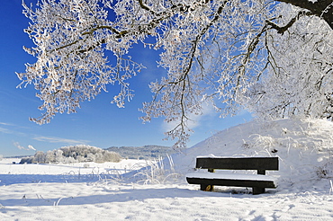 Winter landscape, near Villingen-Schwenningen, Black Forest-Baar (Schwarzwald-Baar) district, Baden-Wurttemberg, Germany, Europe