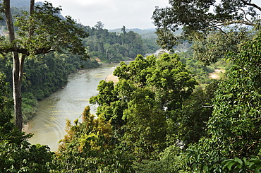 Sungai Tembeling, Taman Negara National Park, Pahang, Malaysia,Southeast Asia, Asia