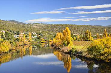 River Derwent near New Norfolk, Tasmania, Australia, Pacific