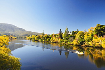 River Derwent near New Norfolk, Tasmania, Australia, Pacific