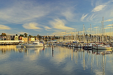 Sandy Bay, Hobart, Tasmania, Australia, Pacific