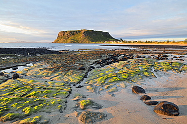 The Nut, Circular Head, Stanley, Tasmania, Australia, Pacific