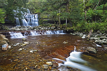 Liffey Falls, UNESCO World Heritage Site, Tasmania, Australia, Pacific