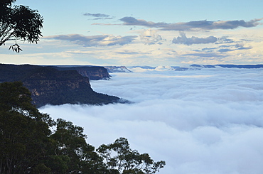 Morning fog at Lake Burragorang, Burragorang State Conservation Area, New South Wales, Australia, Pacific