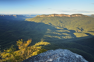 Mount Solitary and Jamison Valley, Blue Mountains, Blue Mountains National Park, UNESCO World Heritage Site, New South Wales, Australia, Pacific