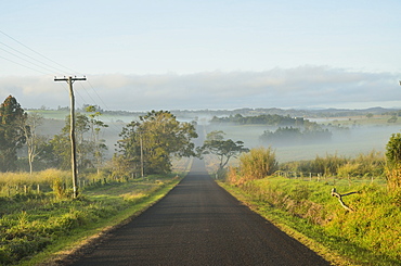 Road and farmland on foggy morning, Atherton Tableland, Queensland, Australia, Pacific