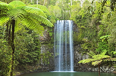 Millaa Millaa Falls, Atherton Tableland, Queensland, Australia, Pacific