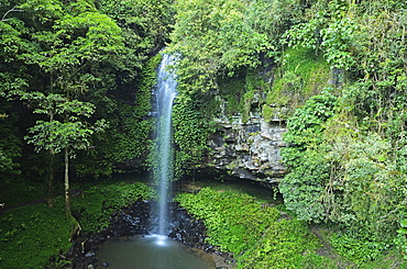 Crystal Shower Falls, Dorrigo National Park, New South Wales, Australia, Pacific