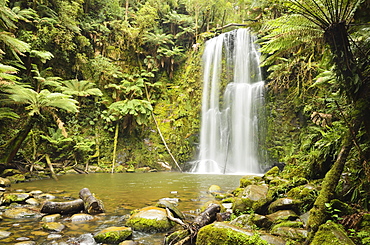 Beauchamp Falls, Great Otway National Park, Victoria, Australia, Pacific