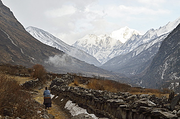 Langtang Valley and Pangen Dopku mountain, Langtang National Park, Bagmati, Central Region (Madhyamanchal), Nepal, Himalayas, Asia