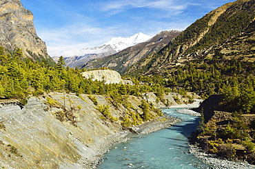 Marsyangdi River Valley, Annapurna Conservation Area, Gandaki, Western Region (Pashchimanchal), Nepal, Himalayas, Asia