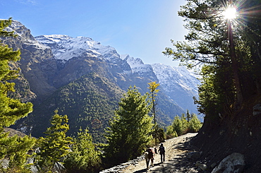 Marsyangdi River Valley, Annapurna Conservation Area, Gandaki, Western Region (Pashchimanchal), Nepal, Himalayas, Asia