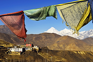 Muktinath and Dhaulagiri Himal, Muktinath Valley, Annapurna Conservation Area, Mustang District, Dhawalagiri (Dhaulagiri), Western Region (Pashchimanchal), Nepal, Himalayas, Asia